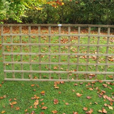 Square Trellis 6' x 3'