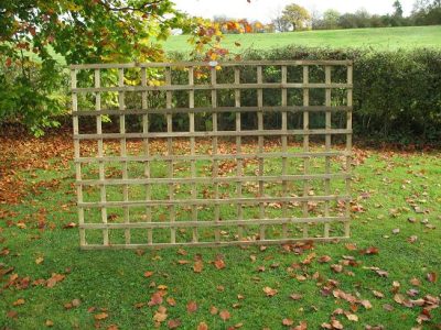 Square Trellis 6' x 4'